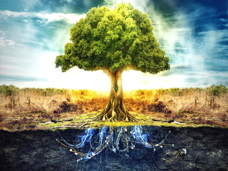 background image
